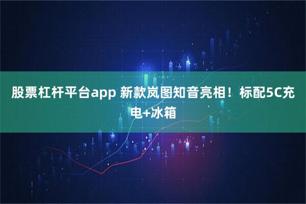 股票杠杆平台app 新款岚图知音亮相！标配5C充电+冰箱